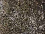 image of grave number 954425